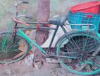 Cycle For sale
