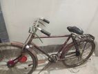 Bicycle for sell