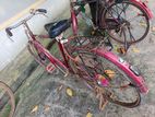 Bicycle for sale