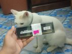 Aoaloo 8gb Ddr3 1600mhz Ram New