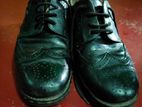 Apex Formal Shoes 42-44 Size