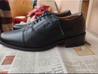 Apex Men's formal Oxford Shoe Size: 41 sell.