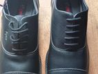 Apex Oxford Shoe, Size-42/8