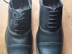 Apex Oxford Shoe, Size-42(8)