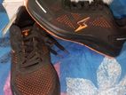 APEX shoe