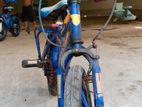 Apollo brand cycle