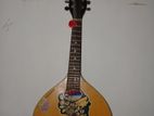 Mandolin for sell