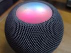 Apple Home Pod Mini