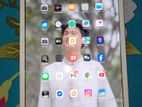 Apple Ipad 8gen 128gb (used)