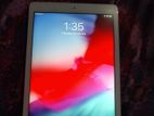 Apple Ipad Air 100% Fresh (used)