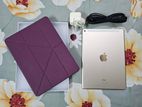 Apple Ipad Air 2 128gb (wifi+cellular)