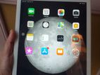 Apple Ipad Air (Used)