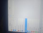 Apple Ipad