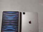 Apple Ipad M2 Pro 2022 (used)