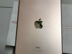 Apple Ipad Mine 5 (used)