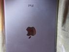 Apple ipad mini 2 32 gb (Used)