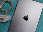 Apple IPAD MINI 4 128 GB (Used)