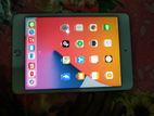 Apple iPad mini (5 gen) (Used)