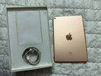 Apple Ipad Mini 5