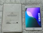 Apple Ipad Mini 5 (used)