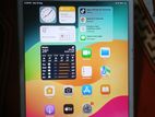 Apple ipad mini 5 (Used)