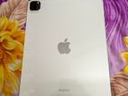 Apple ipad pro m2 (Used)