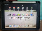 Apple Ipad (Used)