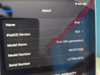 Apple Ipad (used)