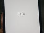 Apple Ipad