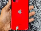 Apple iPhone 11 (256) Bh-100 (Used)