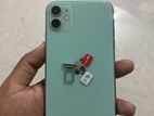 Apple iPhone 11 (Used)