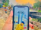Apple iPhone 11 (Used)