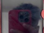 Apple iPhone 11 (Used)