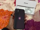 Apple iPhone 11 (Used)