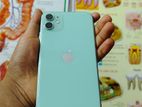 Apple iPhone 11 (Used)
