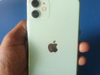 Apple iPhone 11 (Used)