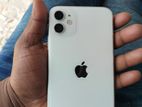 Apple iPhone 11 (Used)