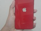 Apple iPhone 11 (Used)