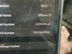 Apple iPhone 12 128 GB (Used)