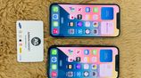 Apple iPhone 12 Pro BUMPER OFFER🔥 (Used)