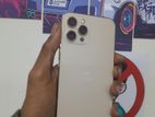 Apple iPhone 12 Pro Max 256 GB ✅ (Used)