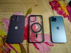 Apple iPhone 12 Pro (Used)