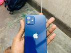 Apple iPhone 12 (Used)