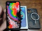 Apple iPhone 12 (Used)