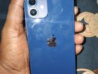 Apple iPhone 12 (Used)