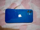 Apple iPhone 12 (Used)