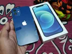 Apple iPhone 12 (Used)