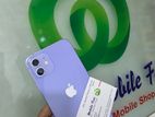 Apple iPhone 12 (Used)