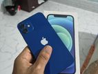 Apple iPhone 12 (Used)