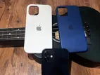 Apple iPhone 12 (Used)